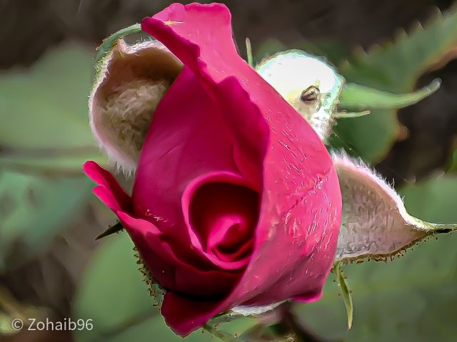 IMG_20220808_104836.jpg