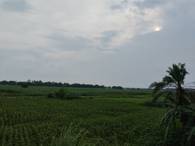 1000002421.jpg