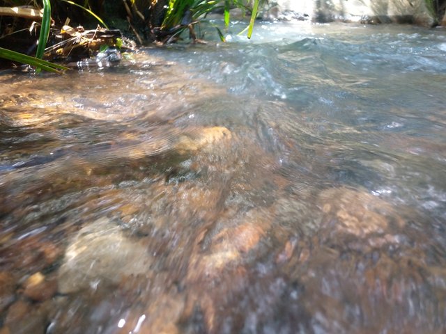 IMG_20220404_125309_917.jpg