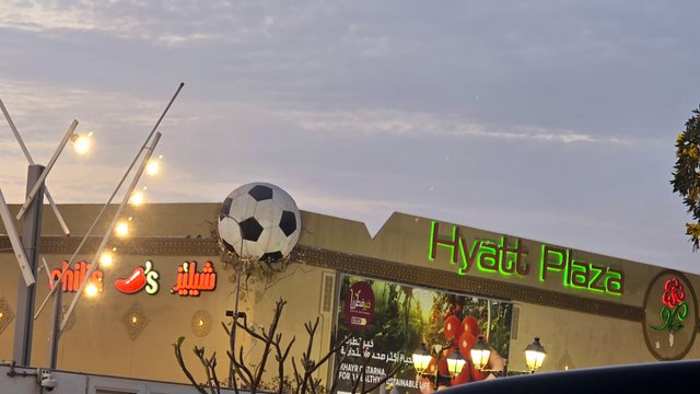 20250331_175711.jpg