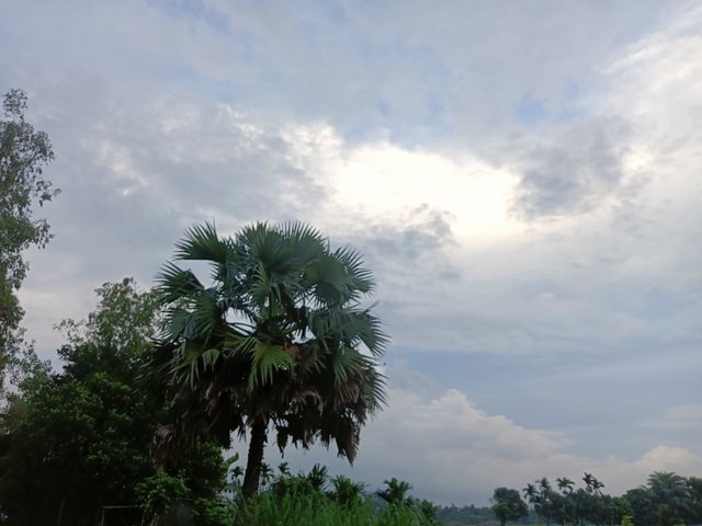 IMG_20250705_234728.jpg