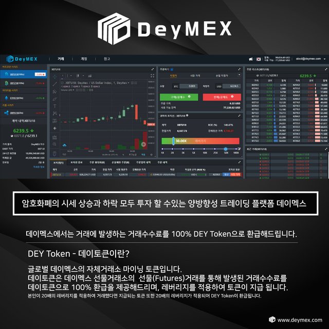 DEYToken-13.jpg