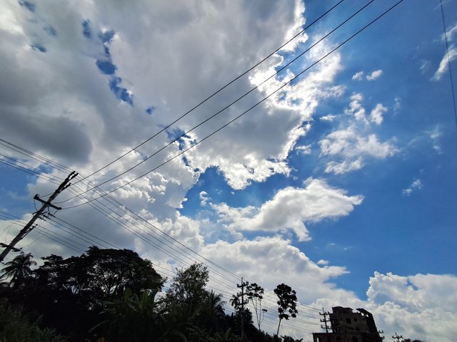 20250831_131714.jpg