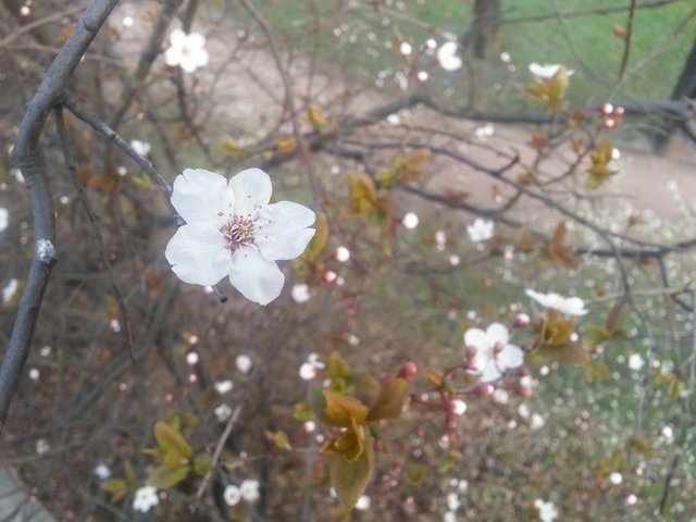 20150325_172456-1.jpg