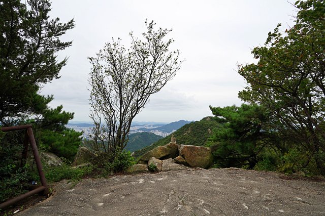 b-DSC02107.JPG