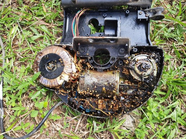f7ce8065-ecde-42ab-acaa-28ccfd19fe74.jpg