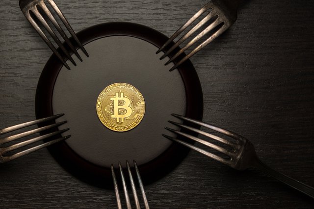 bitcoin-cash-hard-fork-crypto.jpg