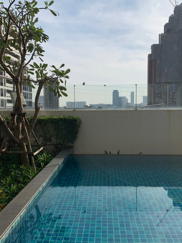 condominium’s swimming pool26.jpg