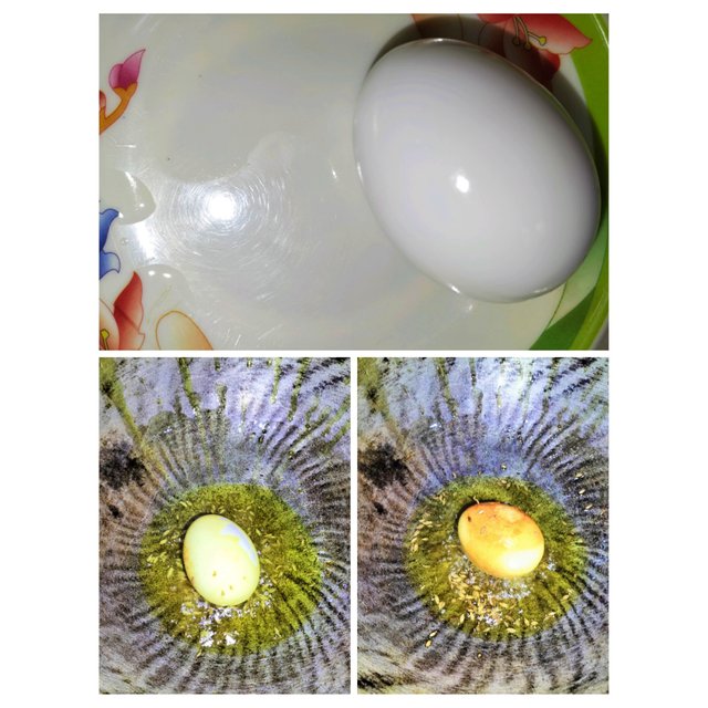 PhotoCollage_1752739506400.jpg