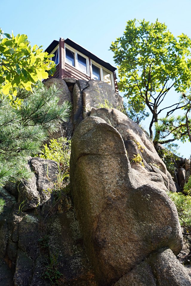 b-DSC01214.JPG
