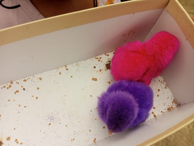 IMG-20250629170013.jpg