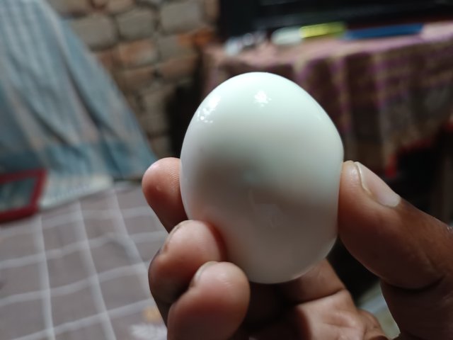1000002169.jpg