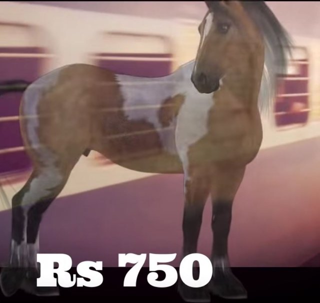 horse750.JPG