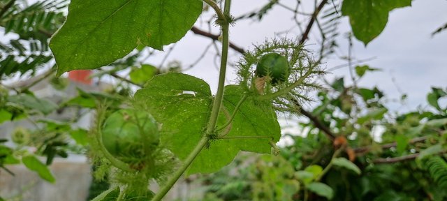 20250903_082609.jpg