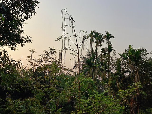 1000035189.jpg