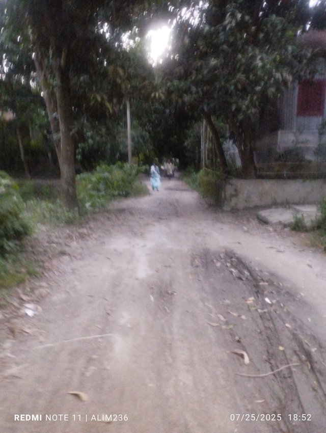 IMG_20250725_185241.jpg