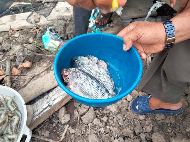 IMG20250830173734.jpg