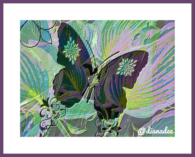 butterfly art aa A.jpg