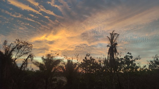 IMG_20250917_183312.jpg