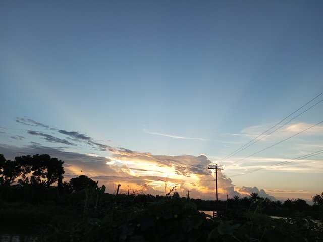 IMG_20230719_185120_411.jpg
