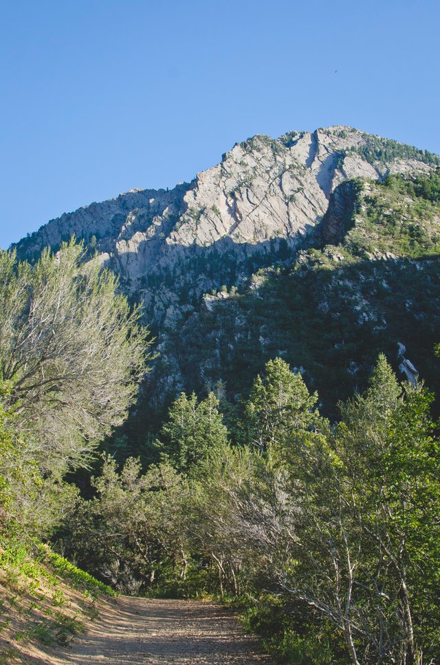 A long trail under the mountains.JPG