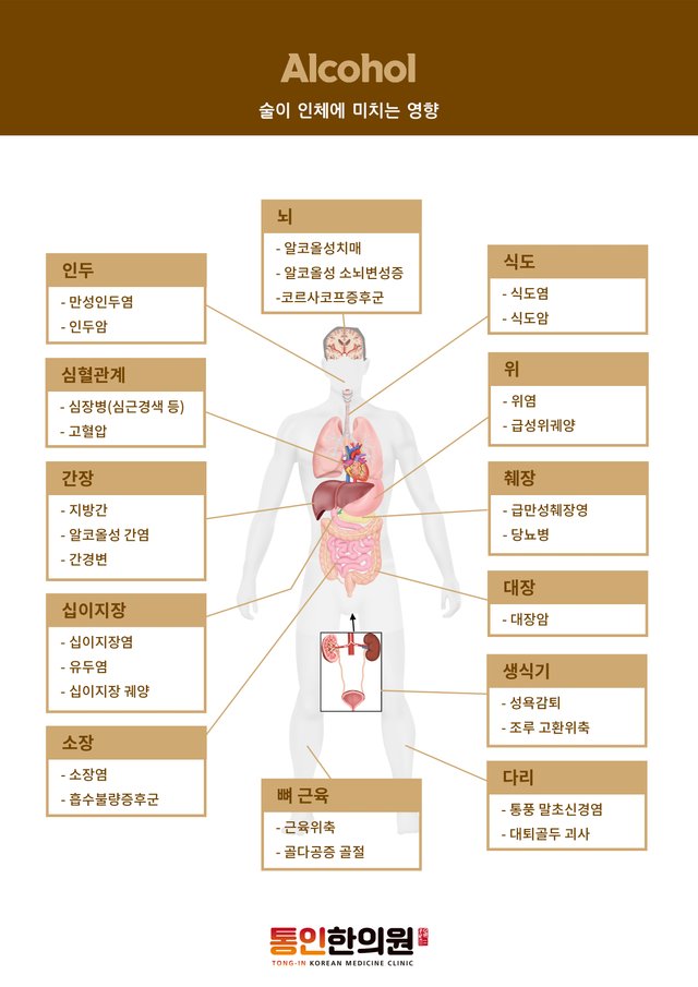 술이 인체에 미치는 영향.jpg