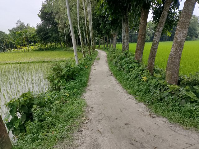 1000047517.jpg