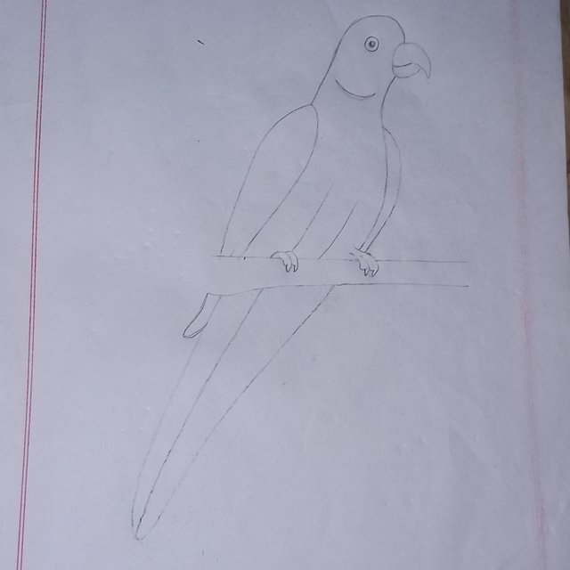 20250708_114809.jpg