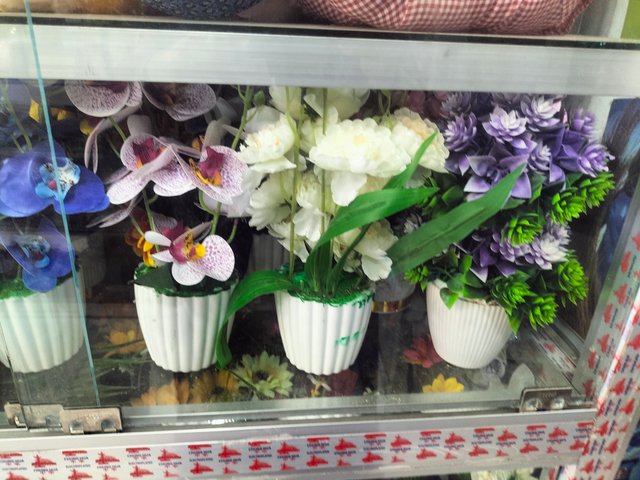 IMG20250930105243.jpg