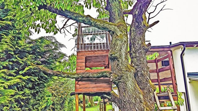 BeFunky-treeTuesday001.jpg