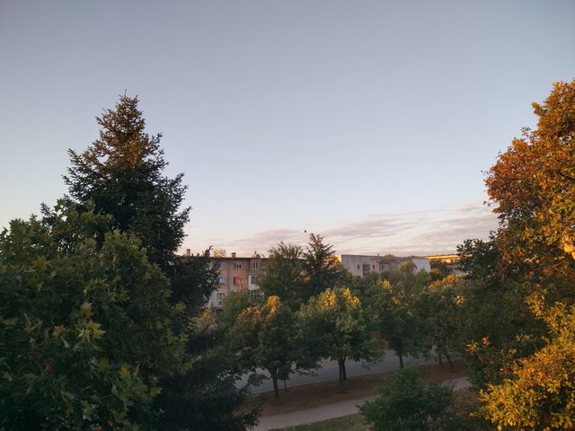 IMG_20250921_072948_HDR.jpg
