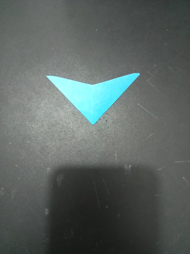 1000029943.jpg