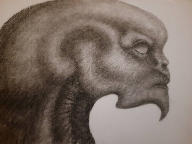 20250707_112617.jpg