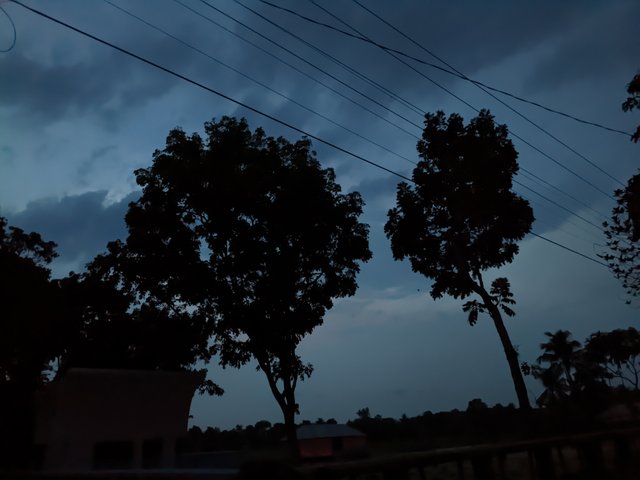 1000031380.jpg