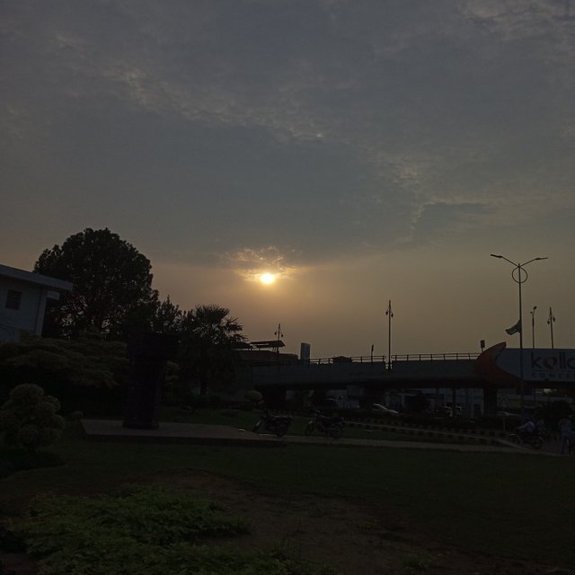 1000109806.jpg