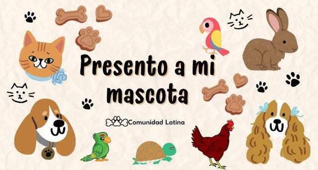 Diseño sin título (2).jpg