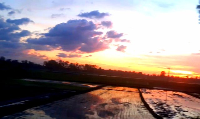 20220716_223009.jpg