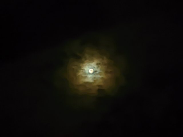 1000041782.jpg