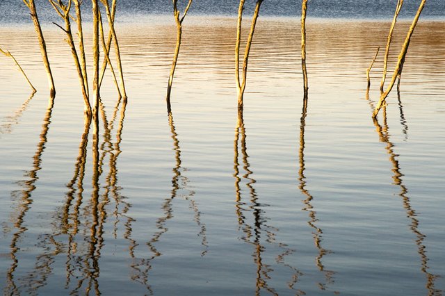 water-reflection_3138597442_o.jpg