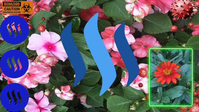 729 steem flower emf 2.png