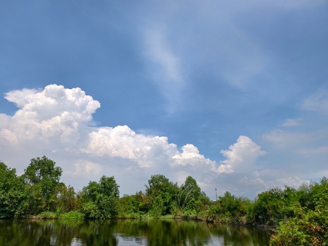 IMG_20250506_102521.jpg