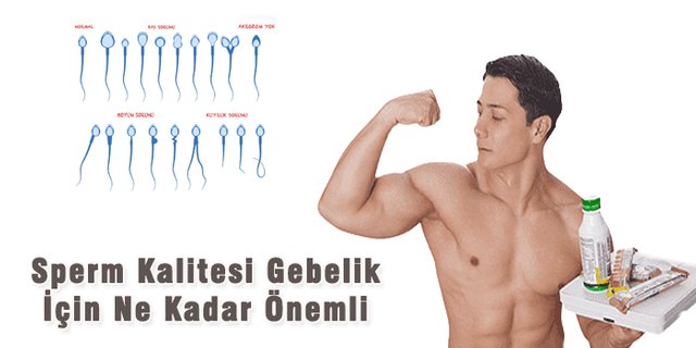 sperm kalitesinin önemi.jpg