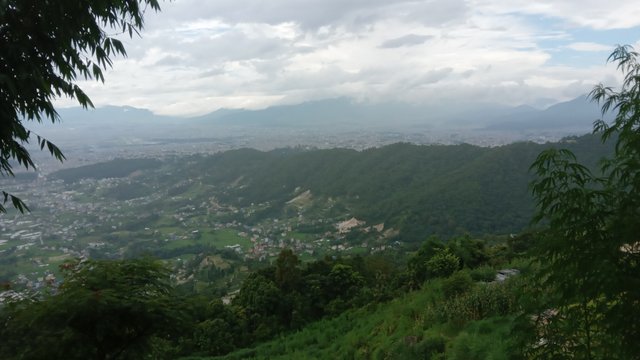 20250730_133408.jpg