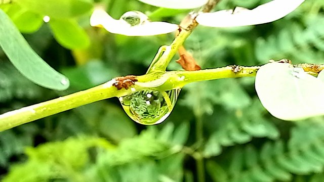 20250718_152136.jpg