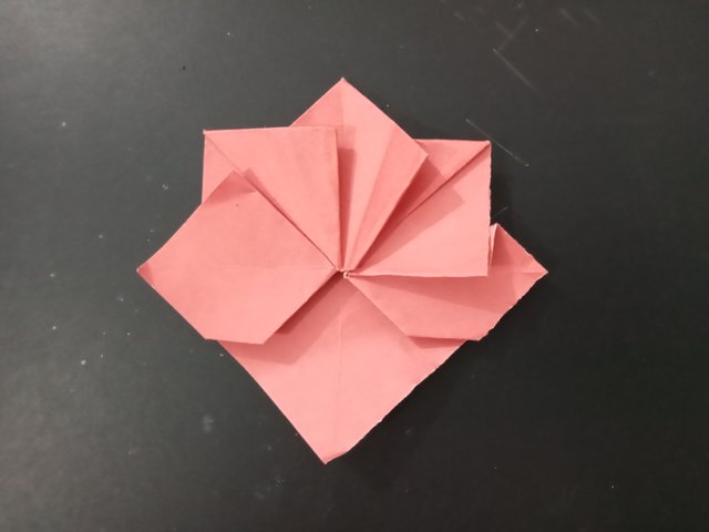 1000027675.jpg