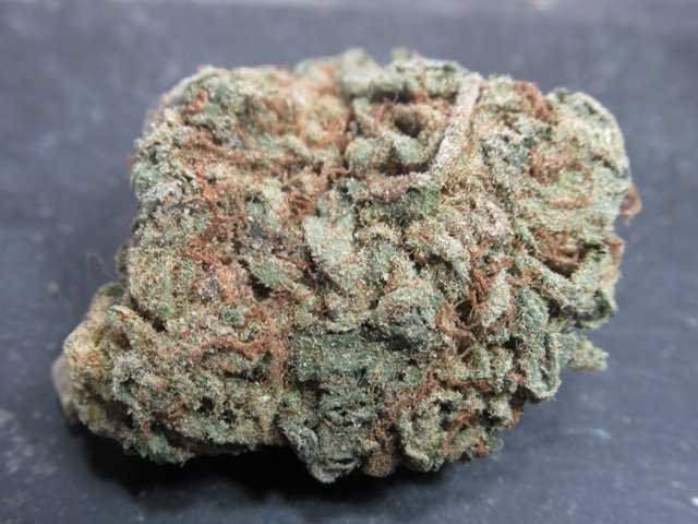 FULLNUGside.jpg