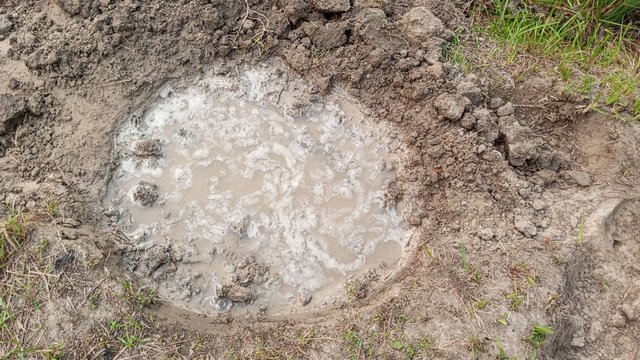 IMG_20231103_070220_8.jpg