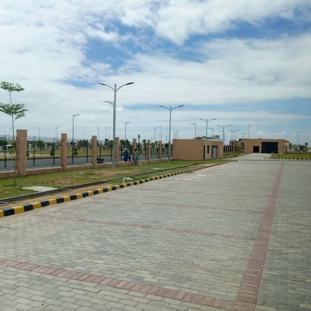 1000019539.jpg