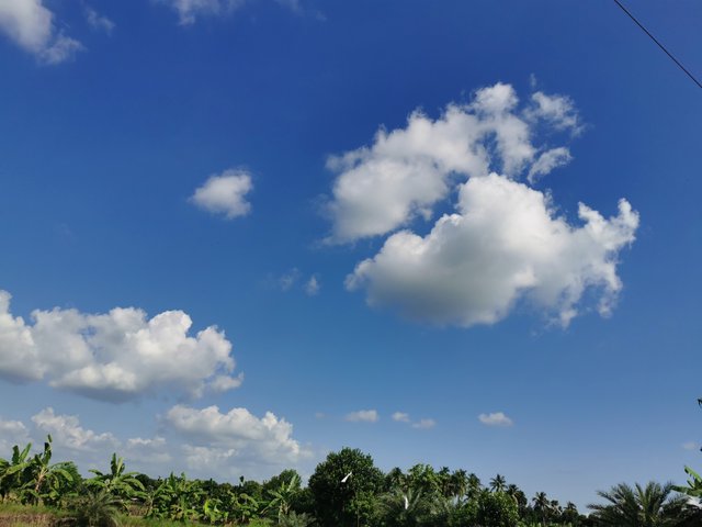IMG_20240829_151829.jpg