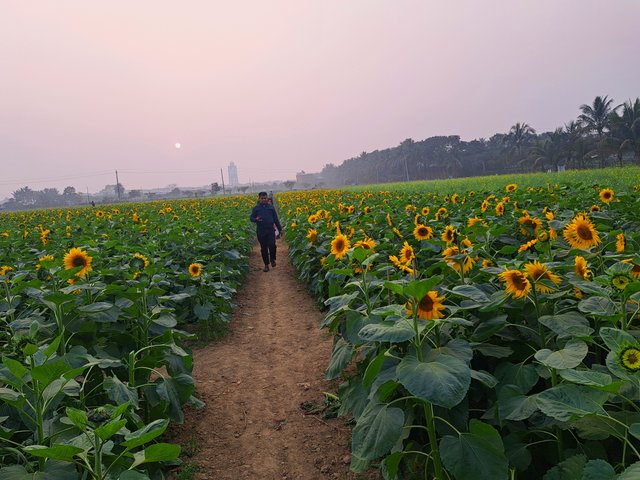 1000015400.jpg